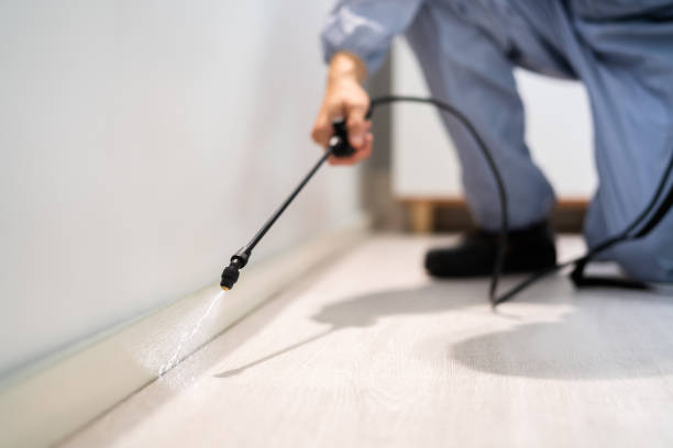 Licensed Rodent Control service in Union County County, SD - Nex Pest Control